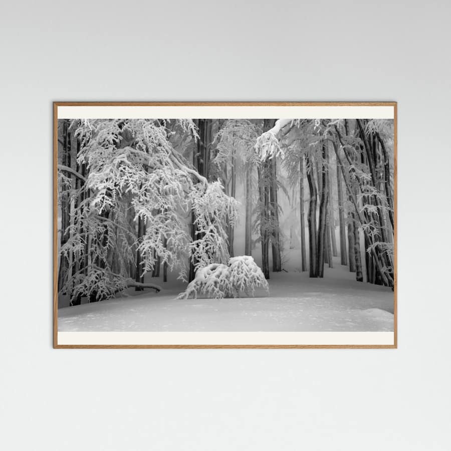 Plakat Perfect Winter