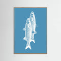 Poster Pescados – poster e stampa artistica