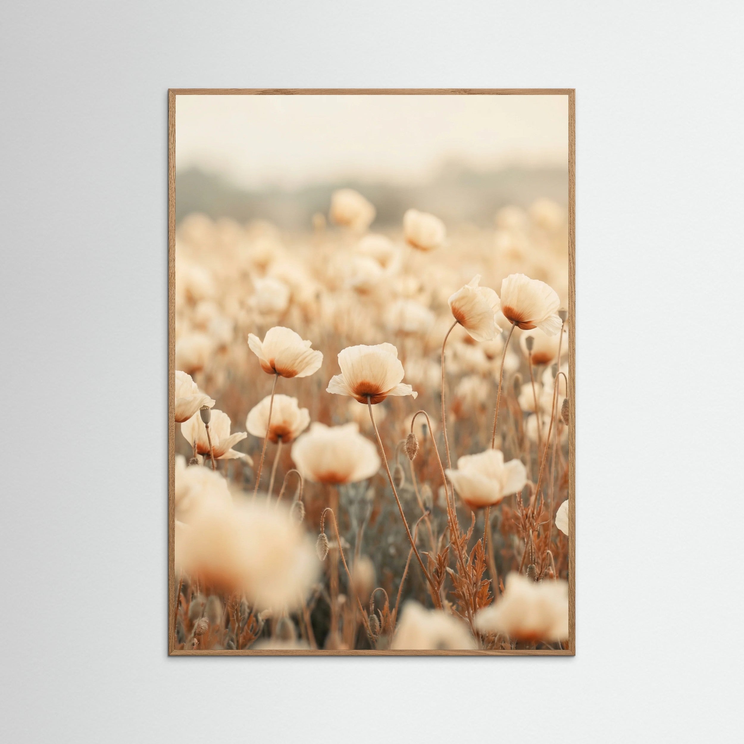Oak Nature Petal Radiance