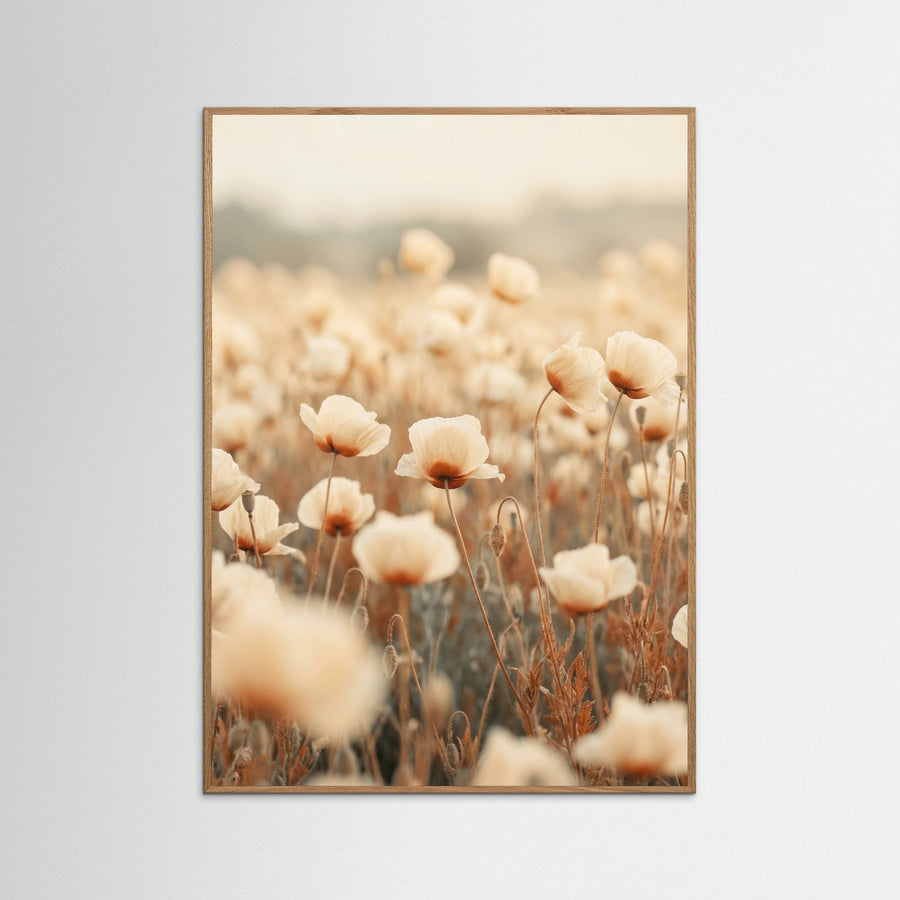 Petal Radiance