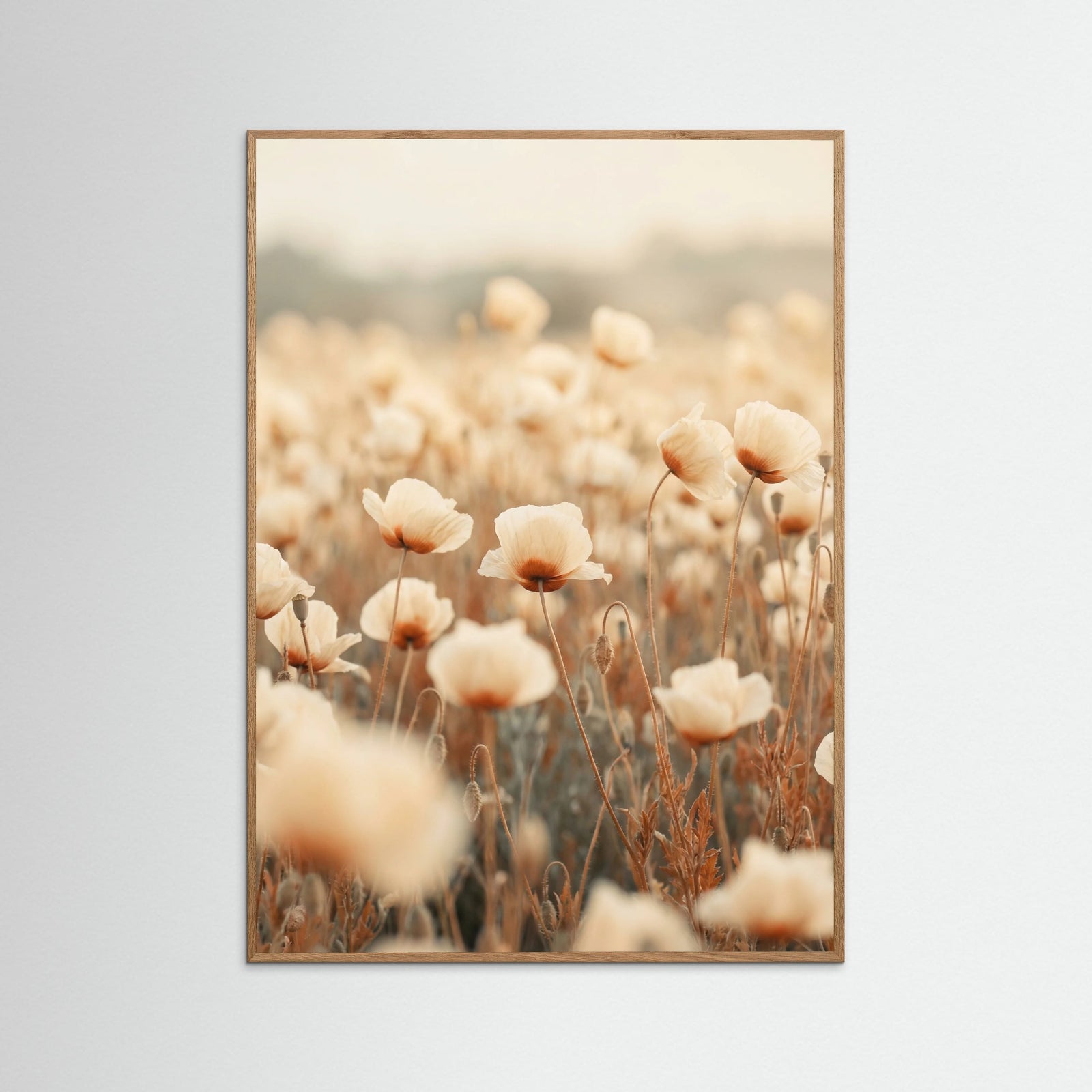 Oak Nature Petal Radiance