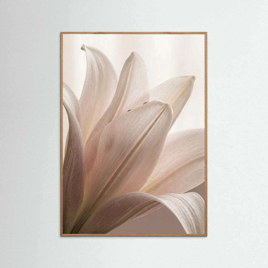 Petal Whisper