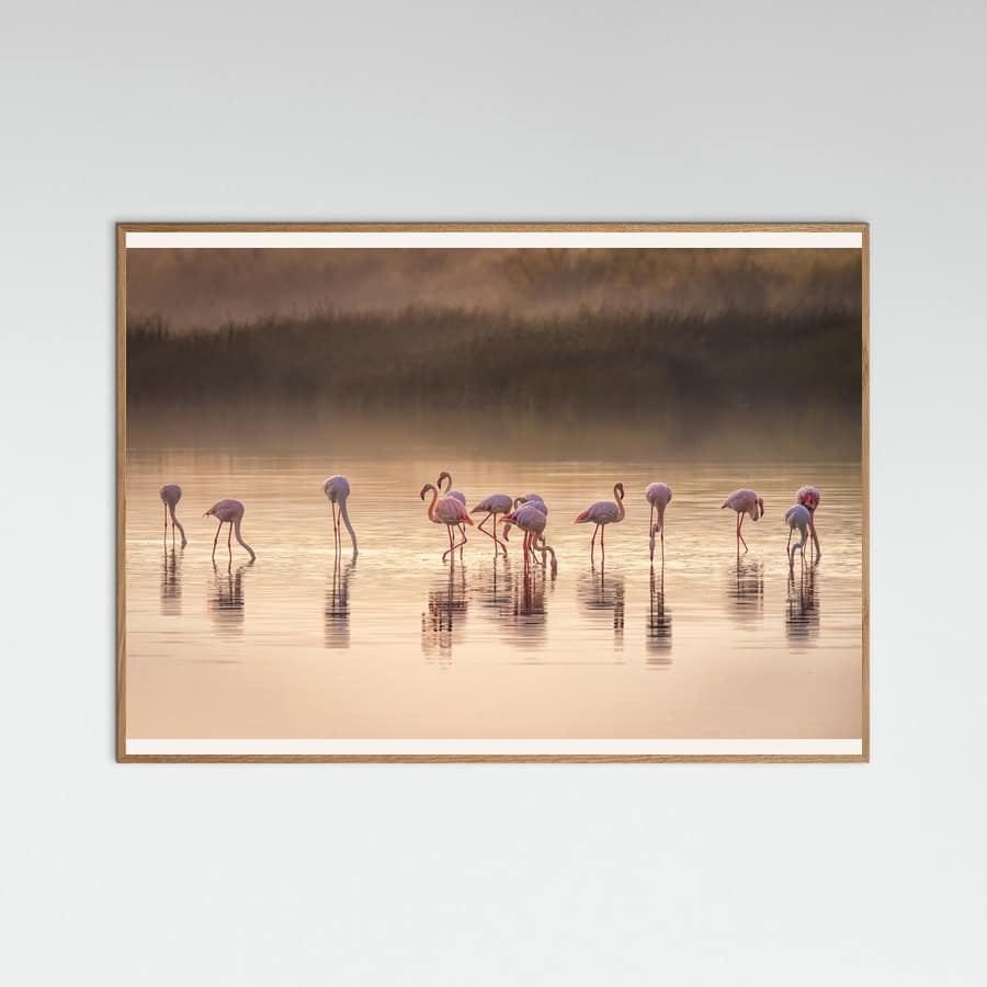 Photographic ode to Monet Poster – Poster und Kunstdruck