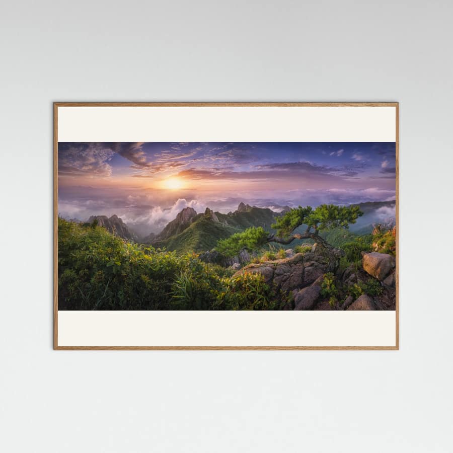 Pine tree on the rock Poster
