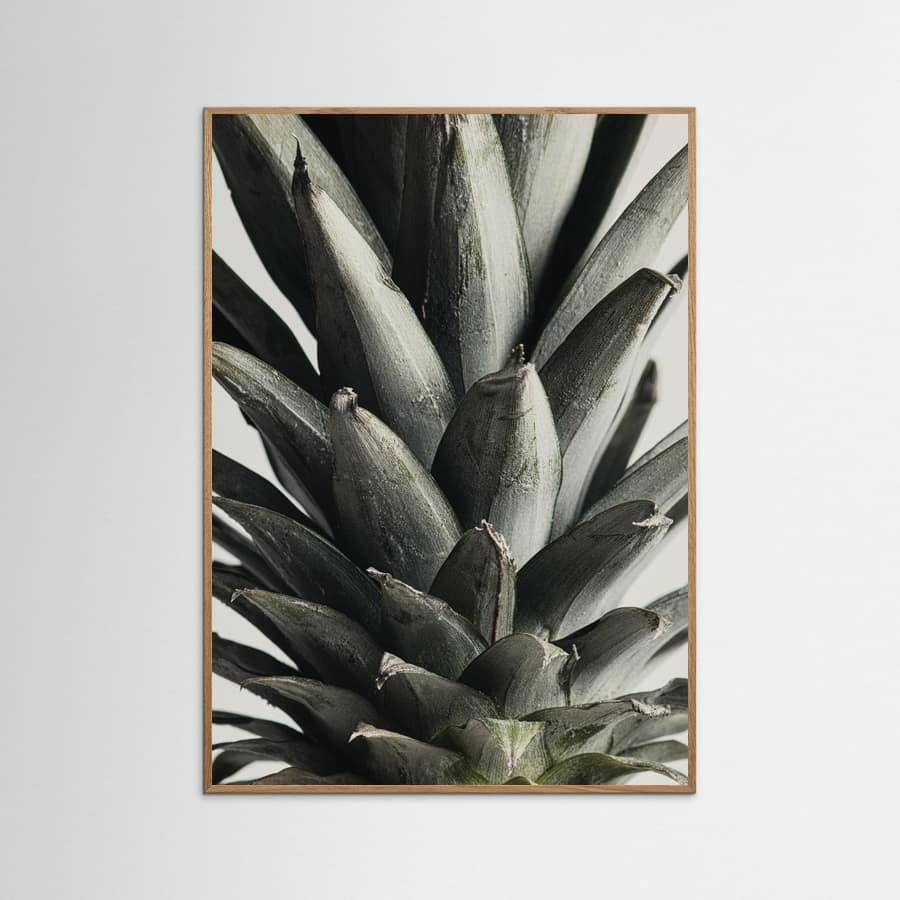 Pineapple close up Poster – plakat og kunsttryk