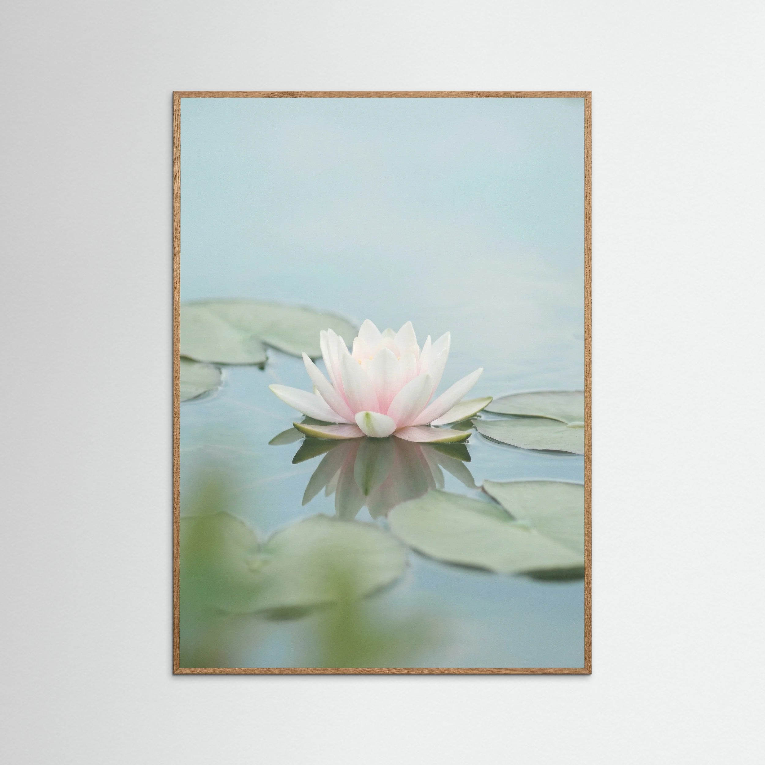 Oak Nature Pink Lotus Serenity