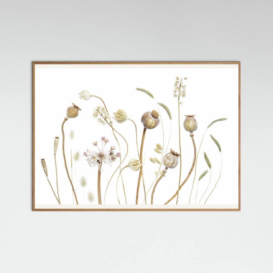 Pods Poster – plakat og kunsttryk