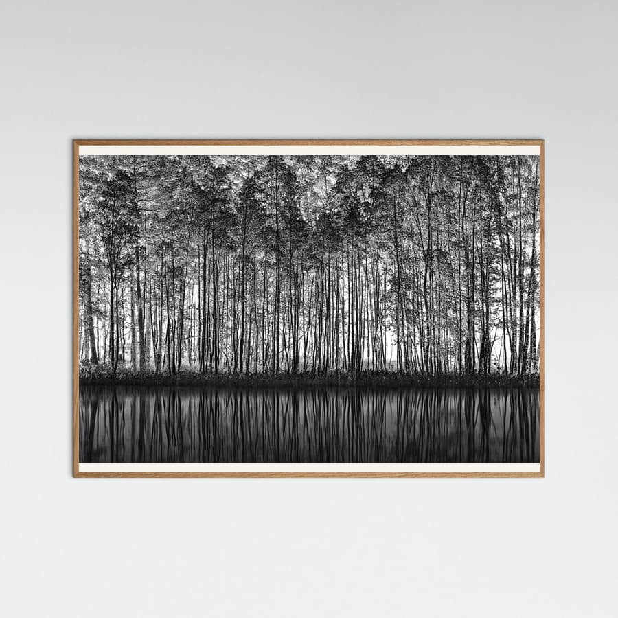 Póster Pointillism Nature – póster e impresión artística