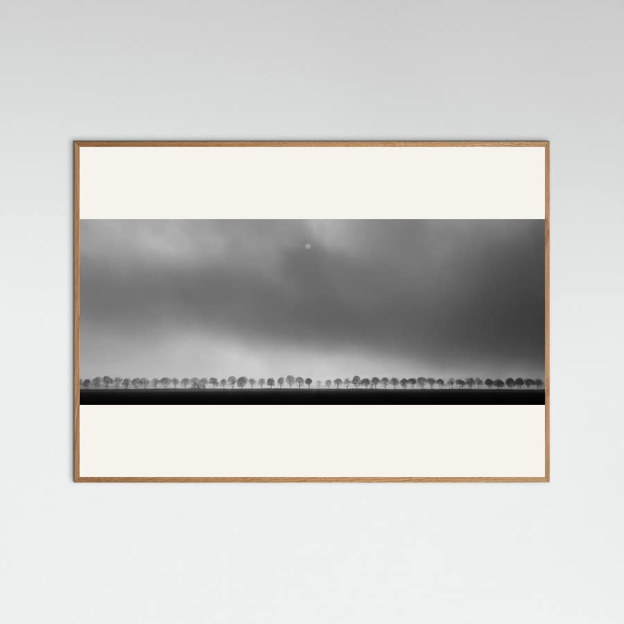 Polderlandscape Poster – poster and art print