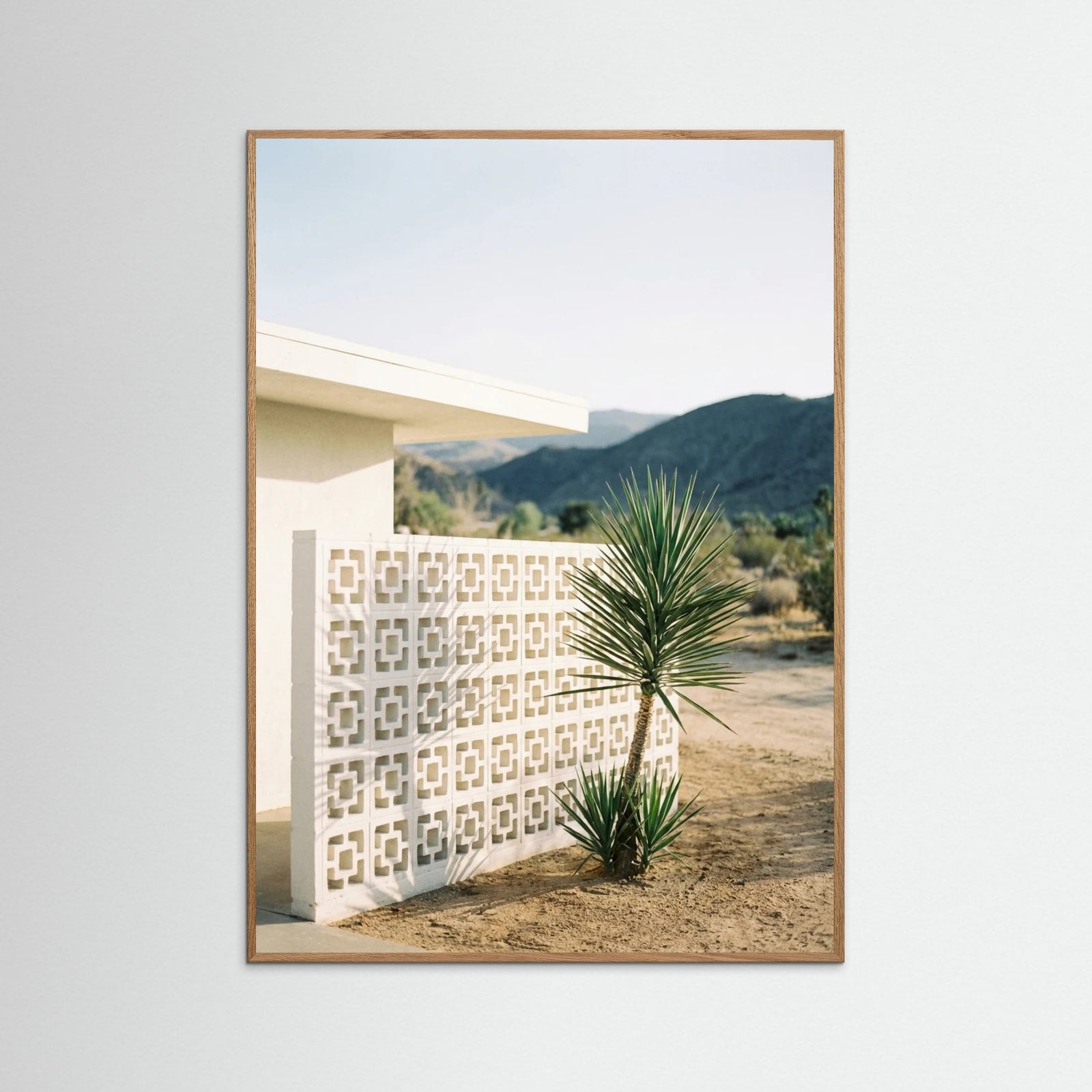 Oak Nature Poolside Palms