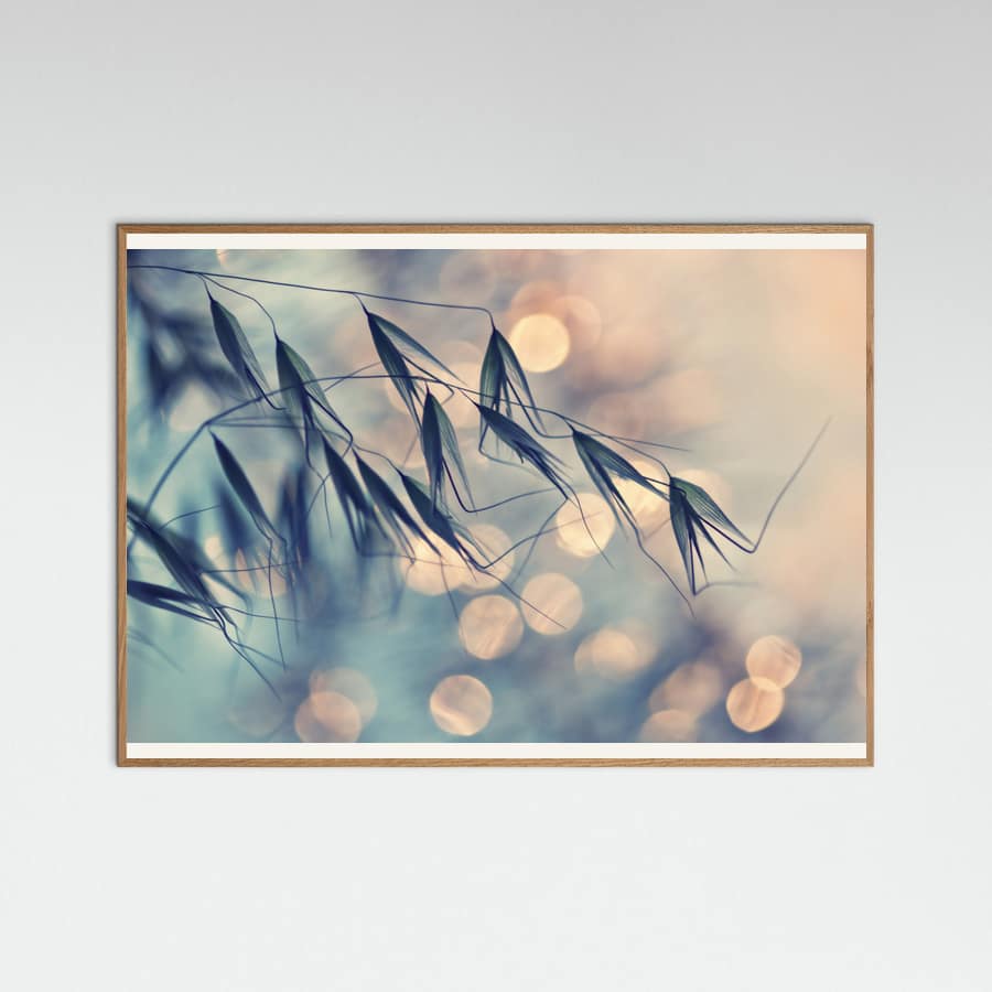 ...<<< Poster – poster and art print