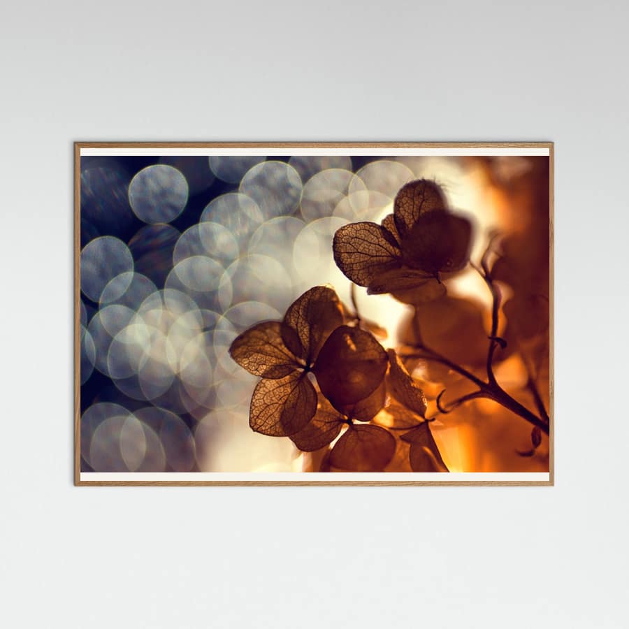 .:.:.** Poster – poster and art print