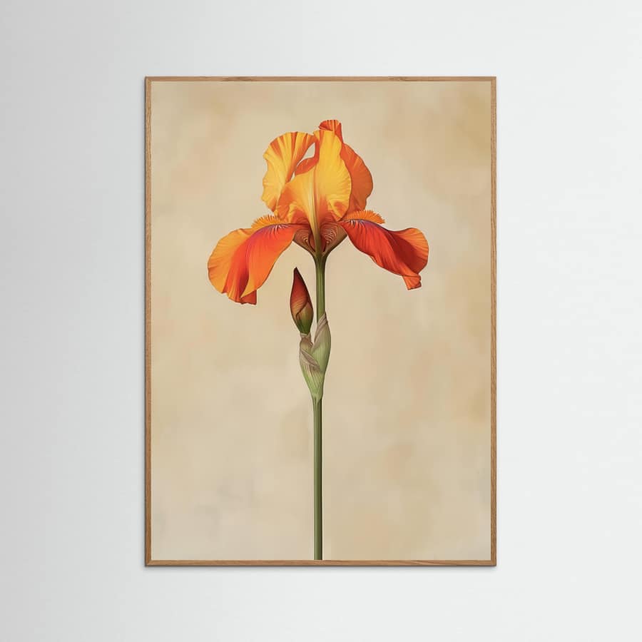 Poster Canvas Sng Iris 34 – plakat og kunsttryk