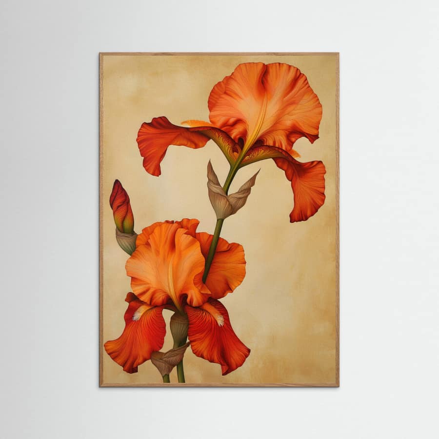 Poster Canvas Sng Iris 36