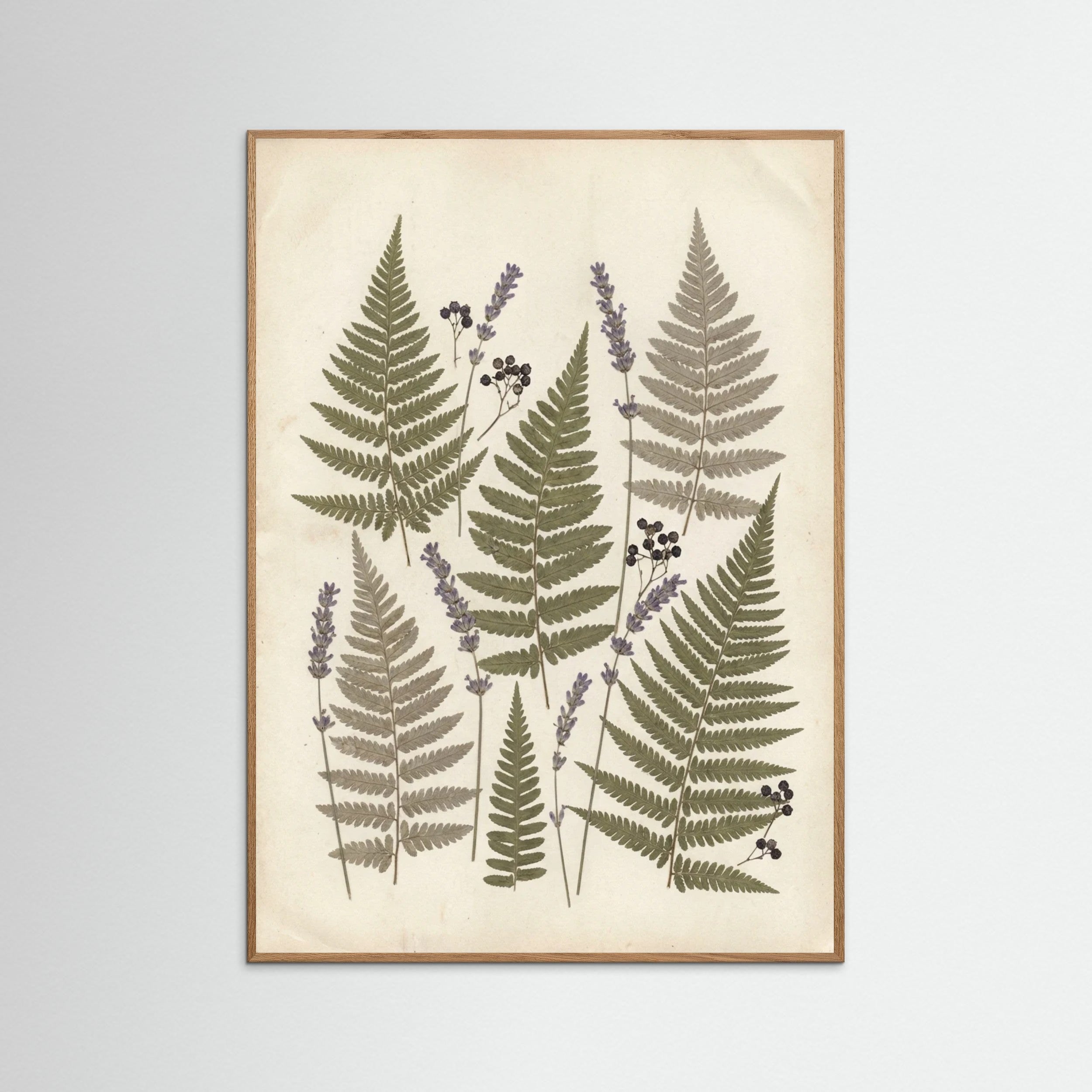 Oak Nature Pressed Botanicals
