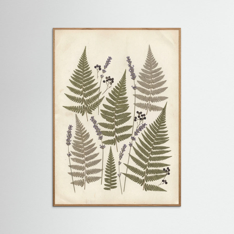 Pressed Botanicals