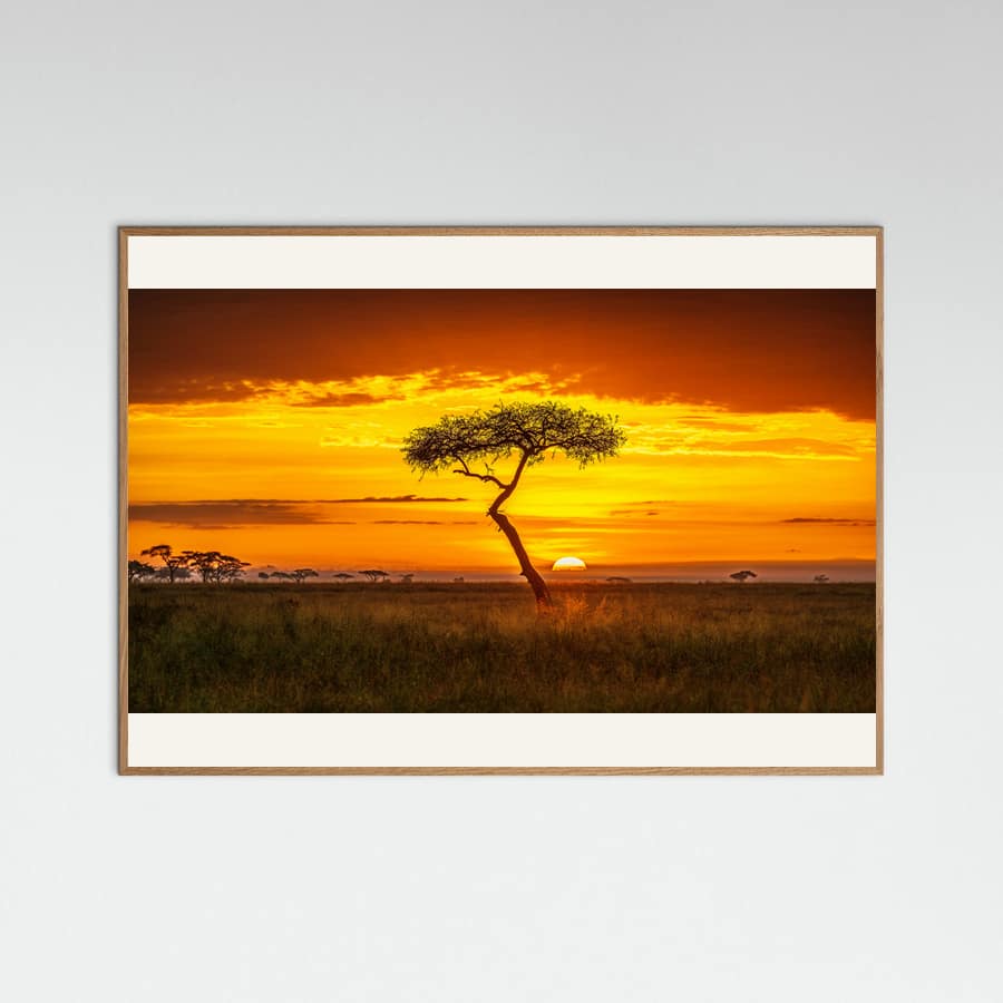 Primordial Africa -juliste