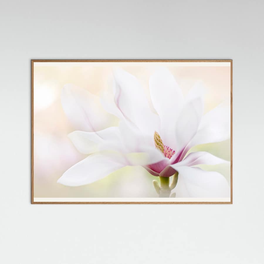 Purity Poster – plakat og kunsttryk