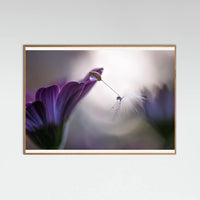 Oak Nature Purple rain Poster