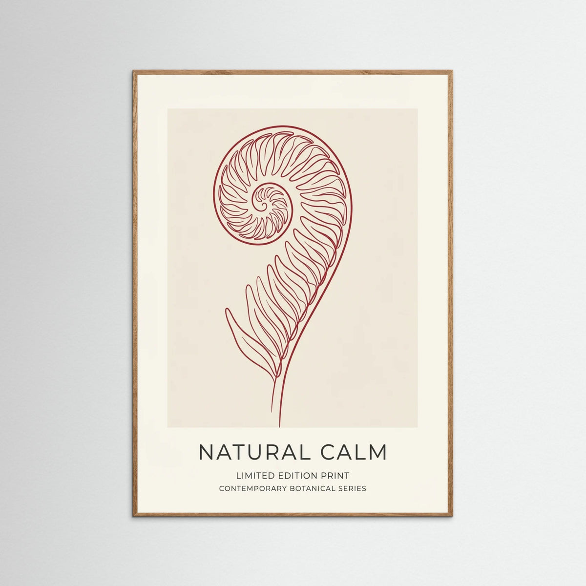 Oak Nature Quiet Contemplation