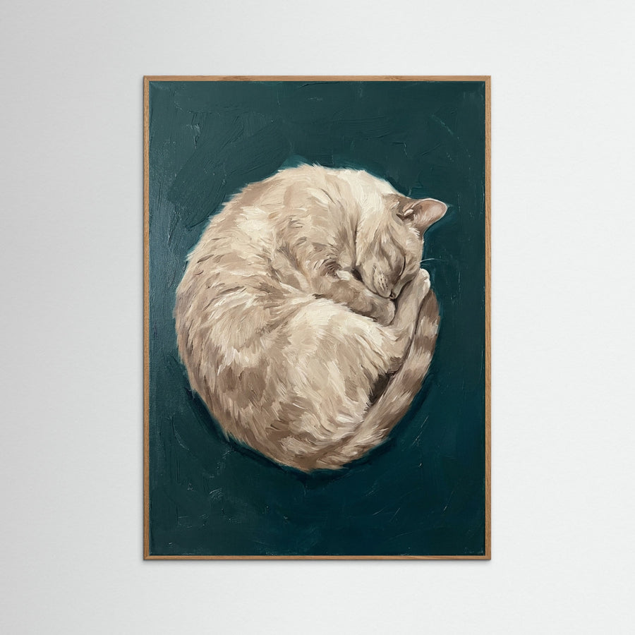 Quiet Contemplation