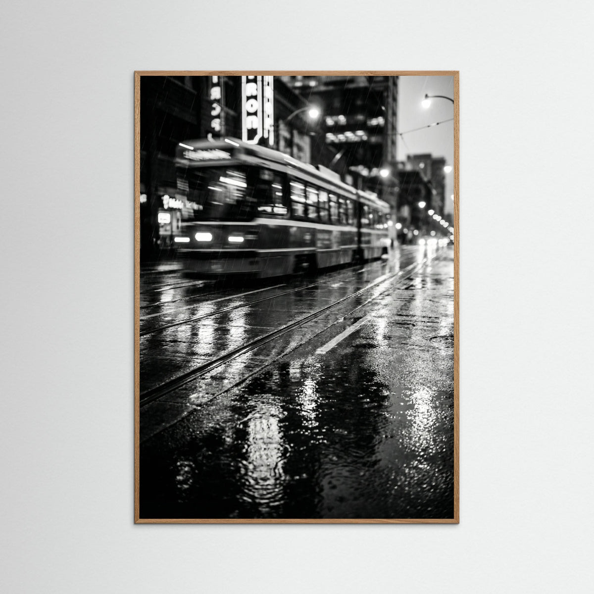 Oak Nature Rainy Night Drive