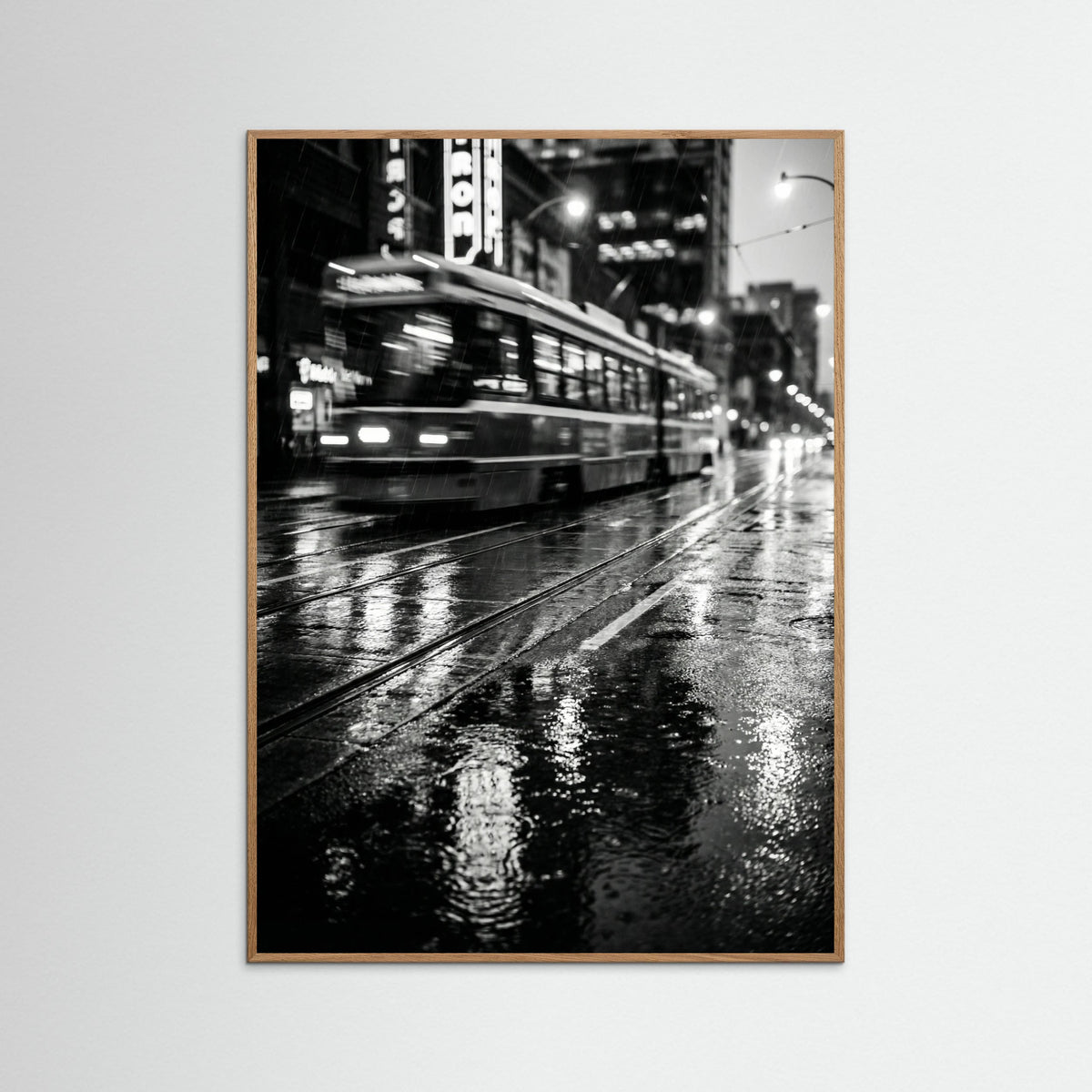 Oak Nature Rainy Night Drive