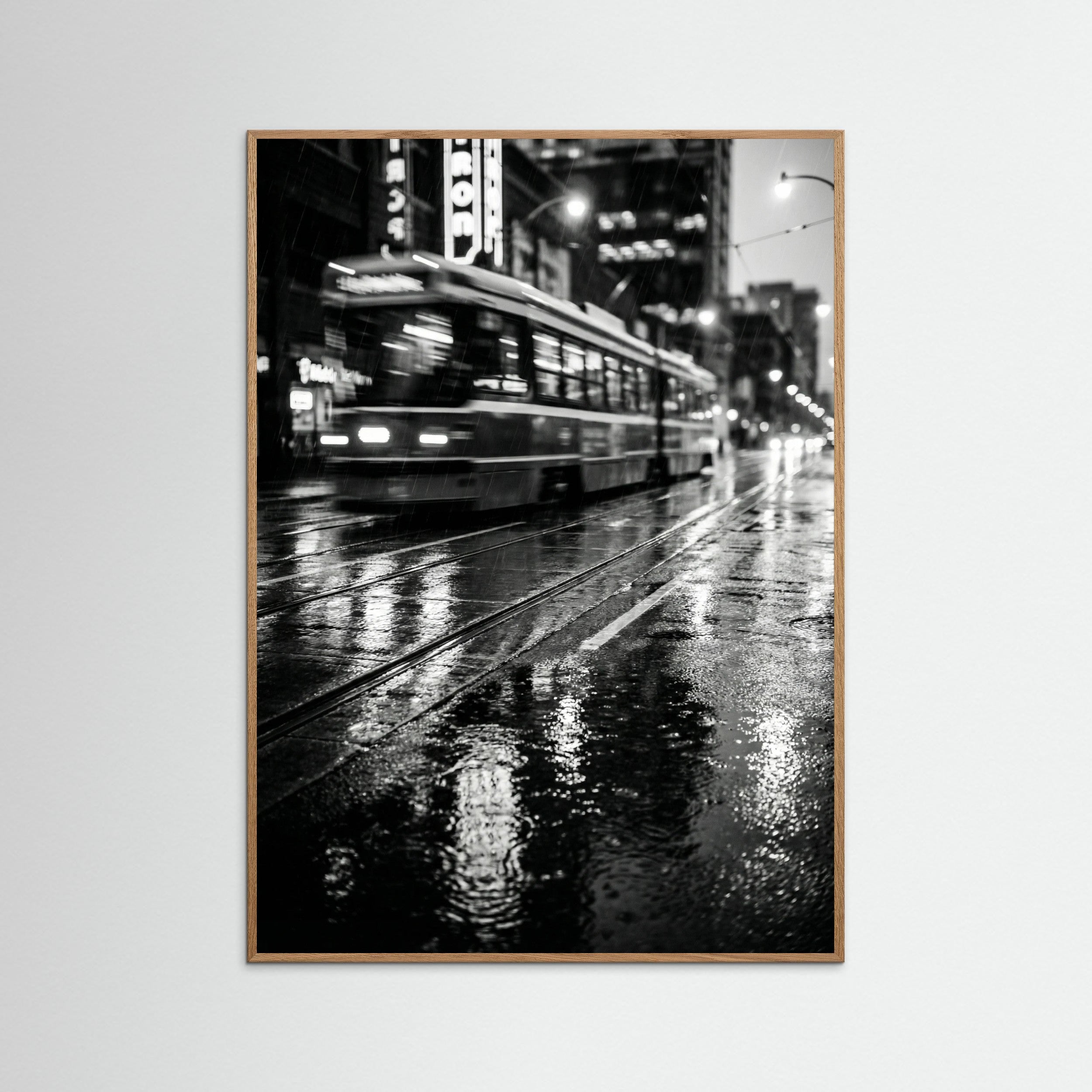 Oak Nature Rainy Night Drive