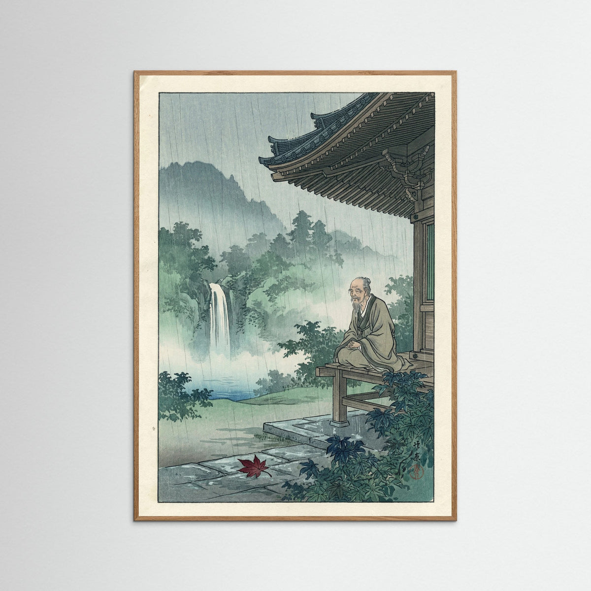 Oak Nature Rainy Promenade