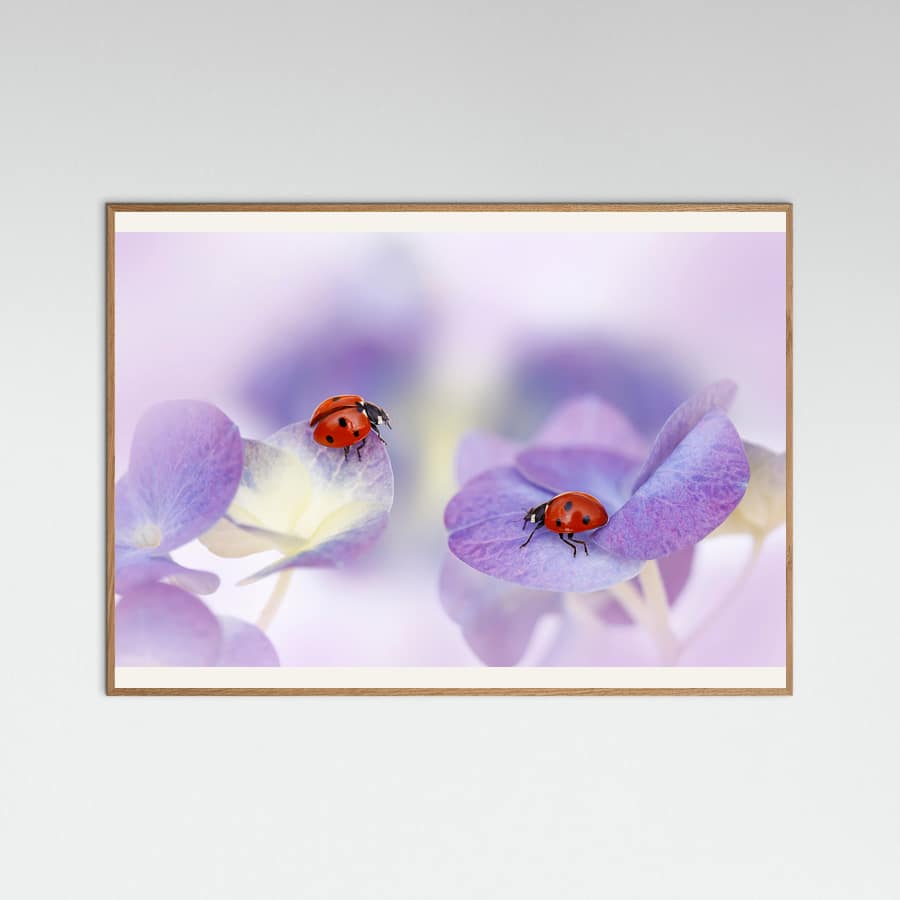 Poster Red and purple – poster e stampa artistica