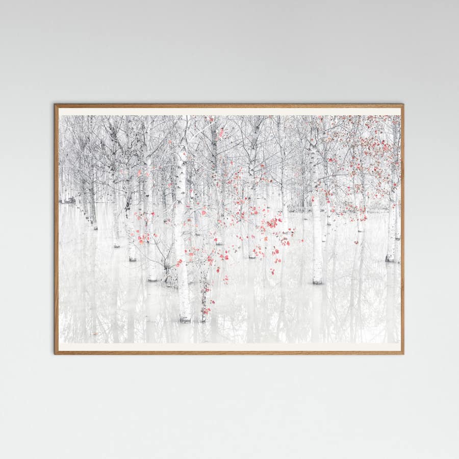 Red & white -juliste – juliste ja taidepainatus
