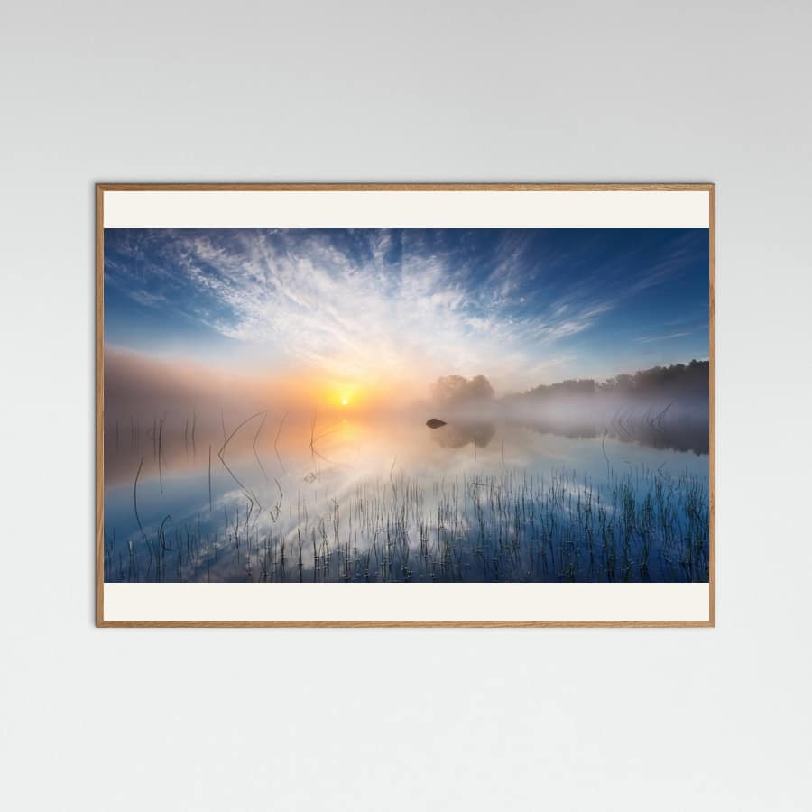 Reflection -juliste – juliste ja taidepainatus