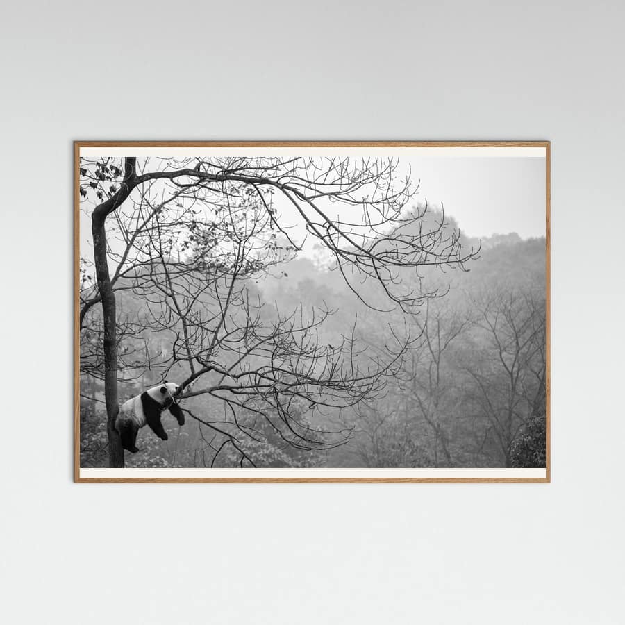 Relax Poster – plakat og kunsttryk
