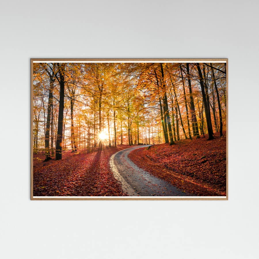 Poster Road in Söderåsen nationalpark, Sweden