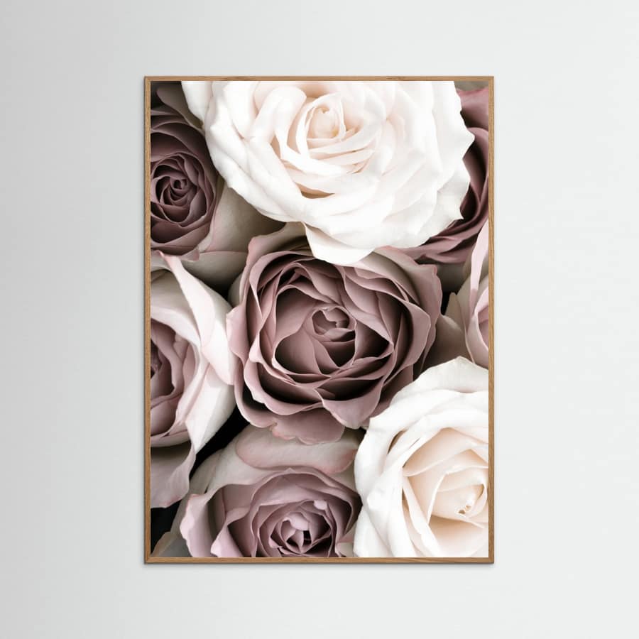 Affiche Roses