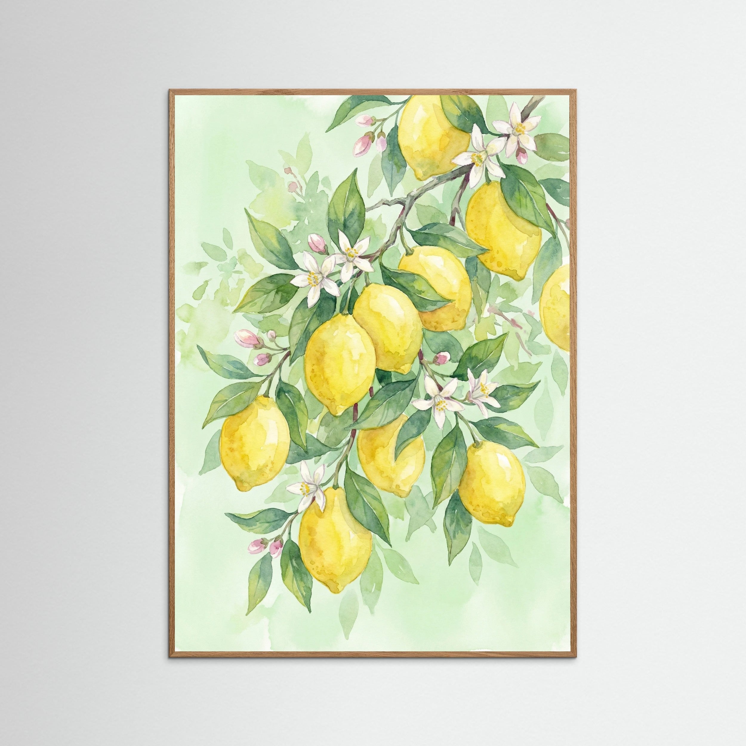 Oak Nature Ruby Pomegranates