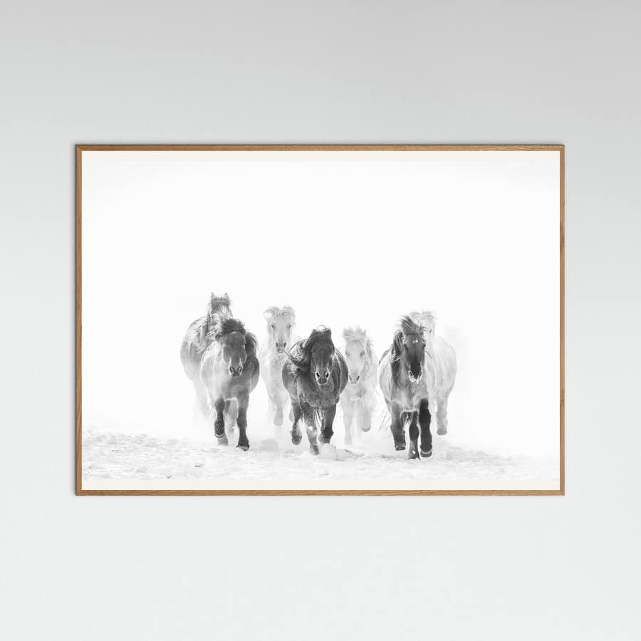 Plakat Running in the snow – plakat i druk artystyczny