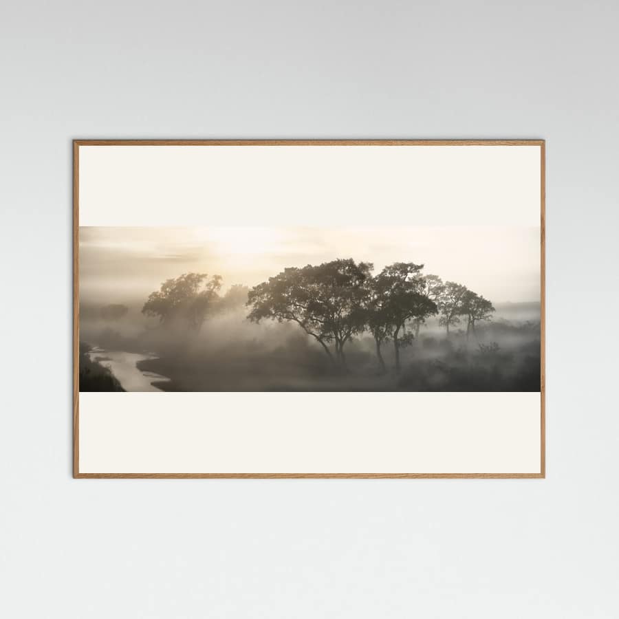 SAVANA SUNRISE Poster – poster and art print