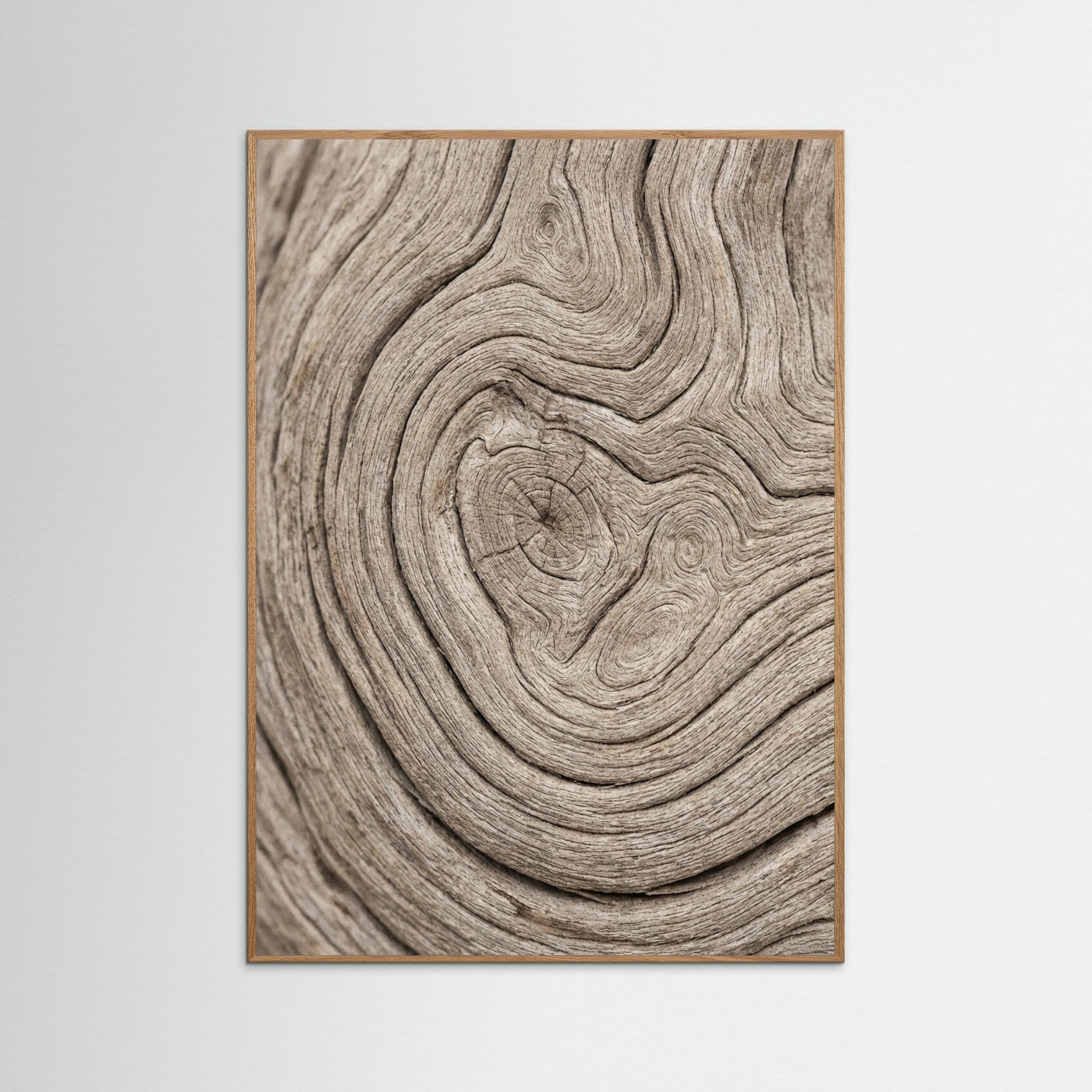 Oak Nature Sandy Whisper