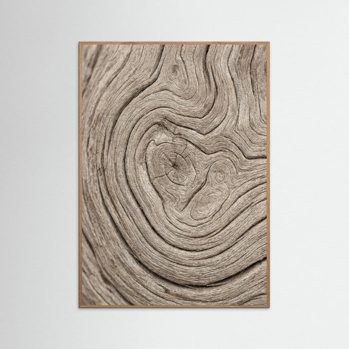 Oak Nature Sandy Whisper