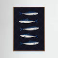 Affiche Sardines – affiche et impression d’art