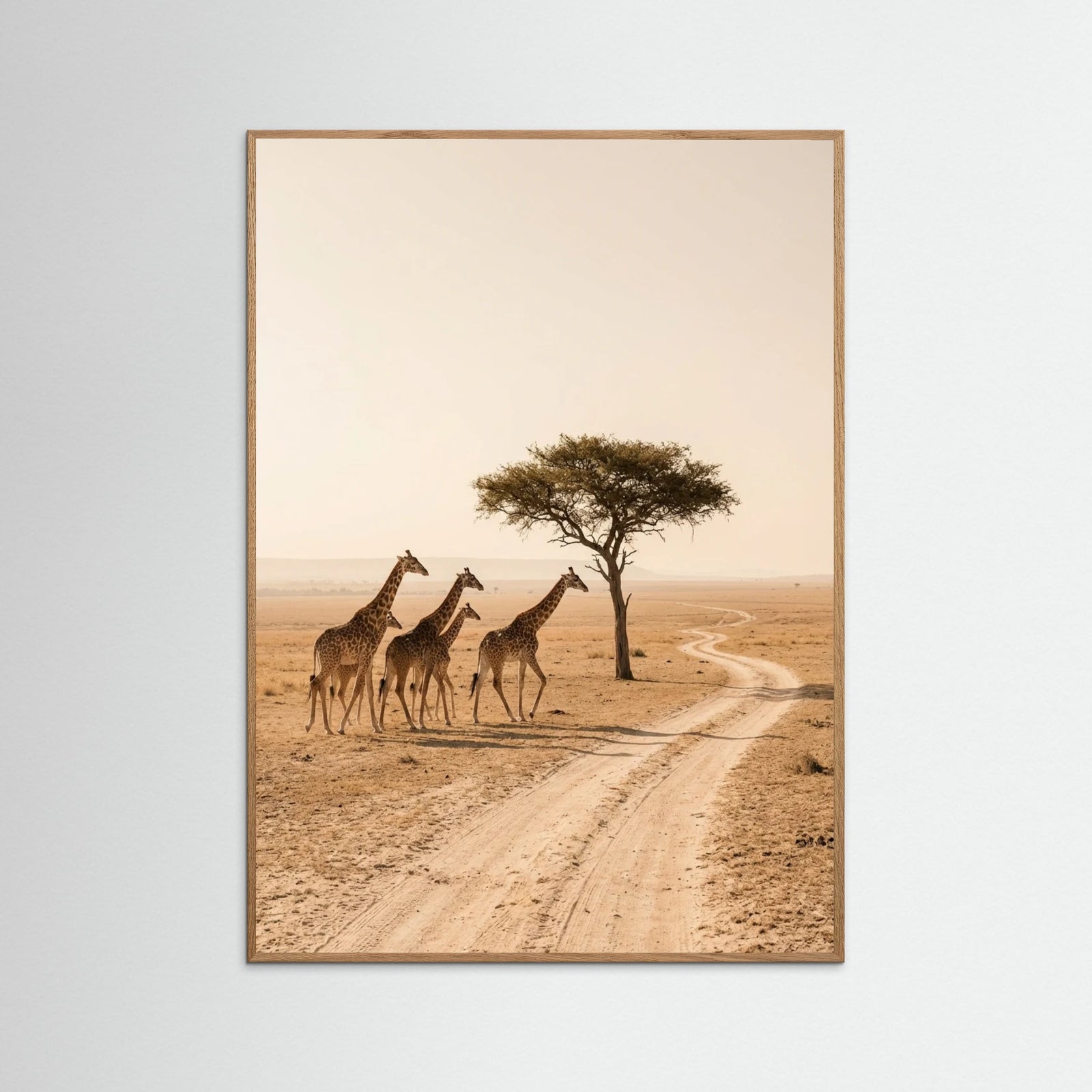 Oak Nature Savanna Ascent