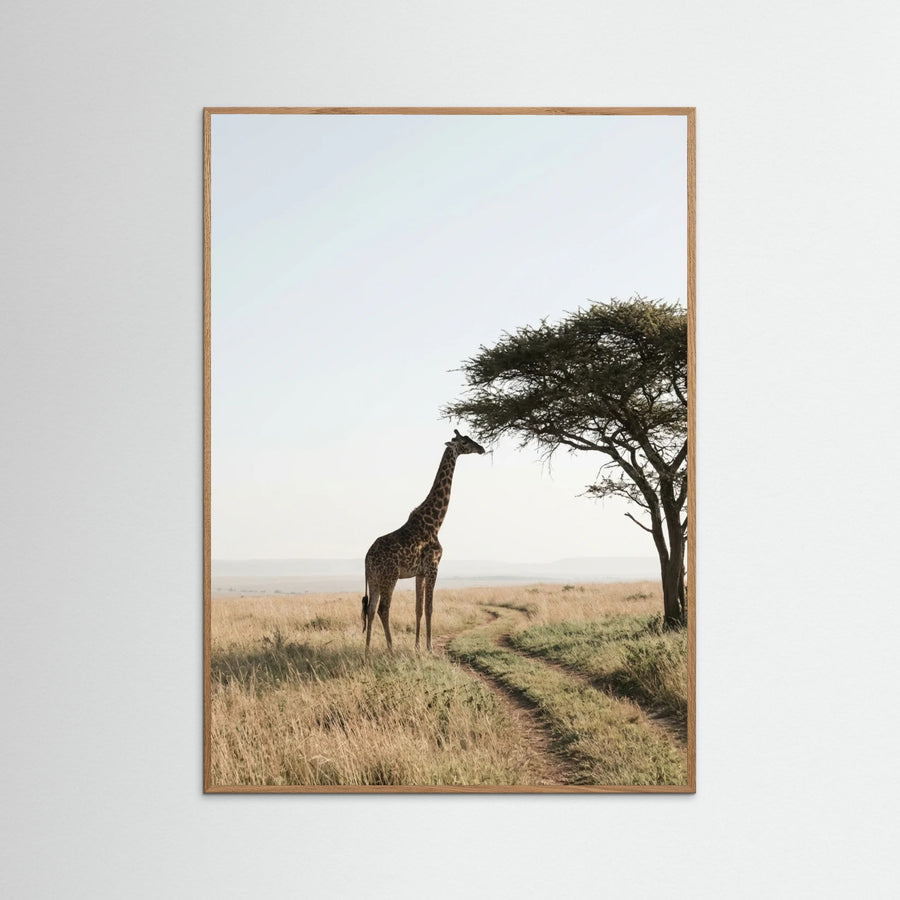 Savanna Horizon