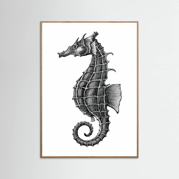 Affiche Seahorse – affiche et impression d’art