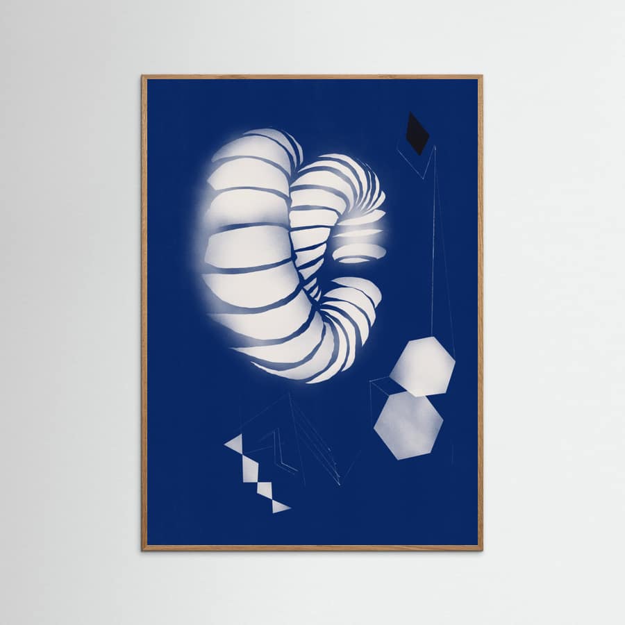 Seashell Ornaments -juliste – juliste ja taidepainatus
