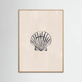 Seashell Poster – plakat og kunsttryk