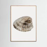 Oak Nature Seashell Poster