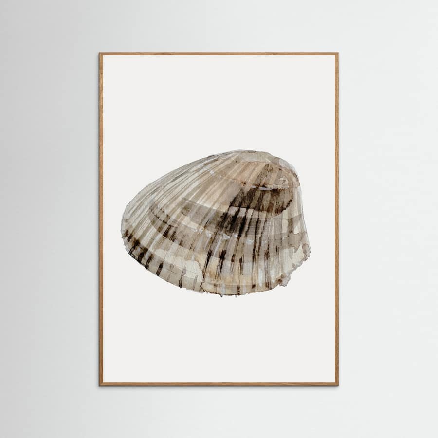 Seashell Poster