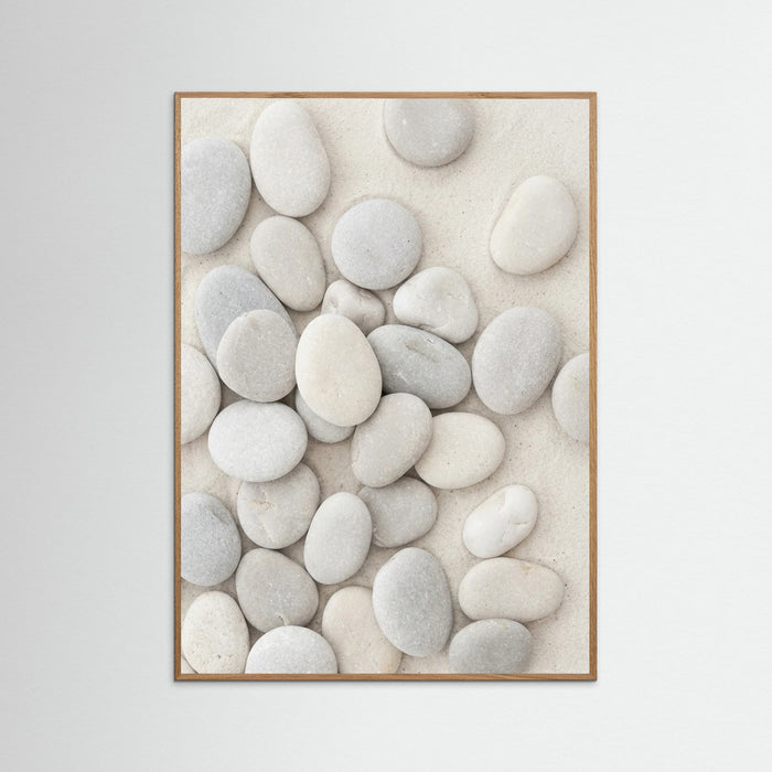 Oak Nature Seashell Serenity
