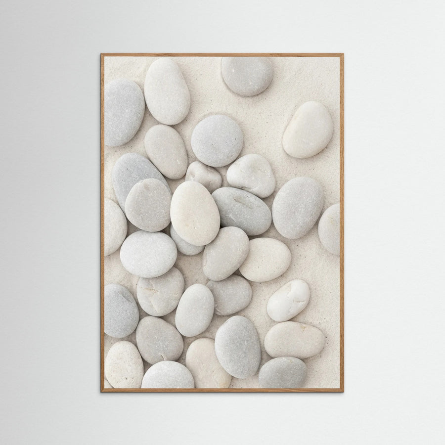 Seashell Serenity
